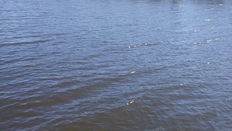 Mallard Point Park - Brick Township, NJ