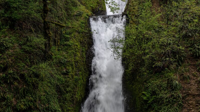Bridal Veil Falls - Bridal Veil, OR