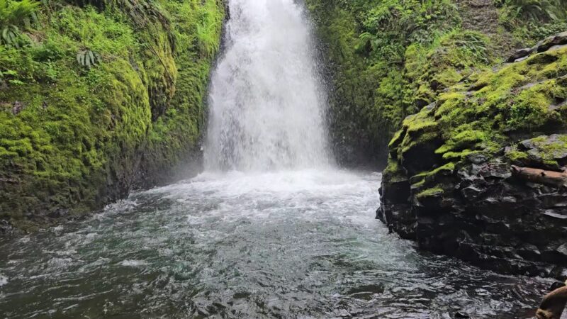 Bridal Veil Falls - Bridal Veil, OR