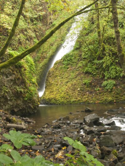 Bridal Veil Falls - Bridal Veil, OR
