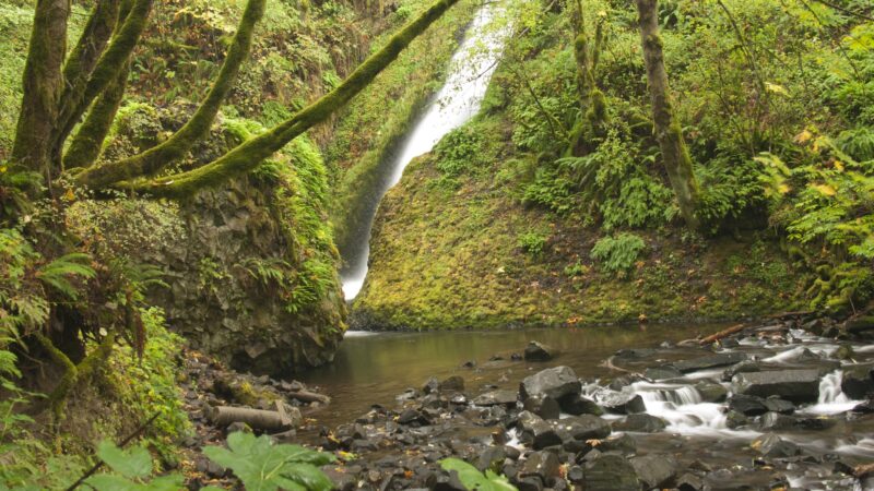 Bridal Veil Falls - Bridal Veil, OR