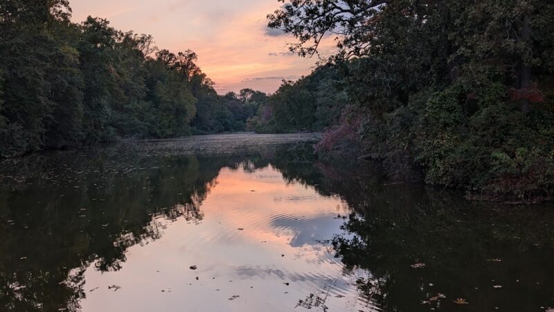 Bridgeton Dog Park - Bridgeton, NJ