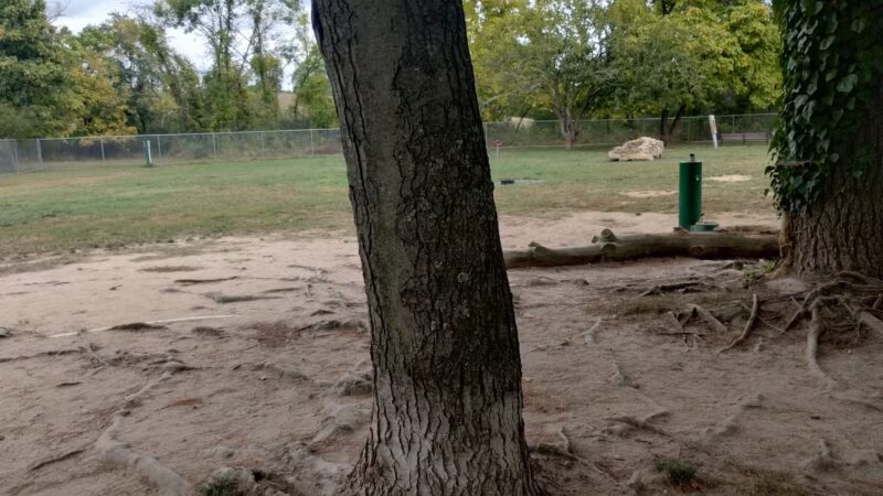 Bridgeton Dog Park - Bridgeton, NJ