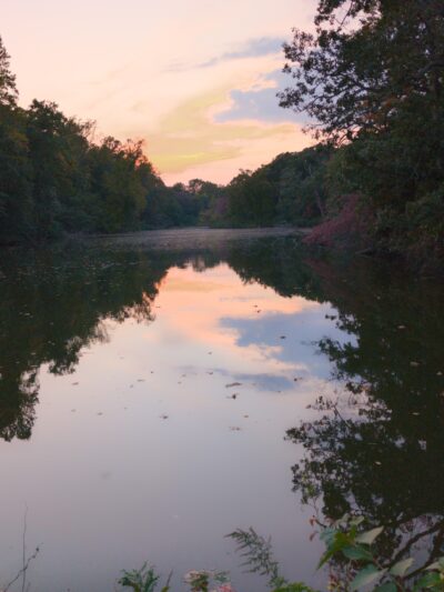 Bridgeton Dog Park - Bridgeton, NJ
