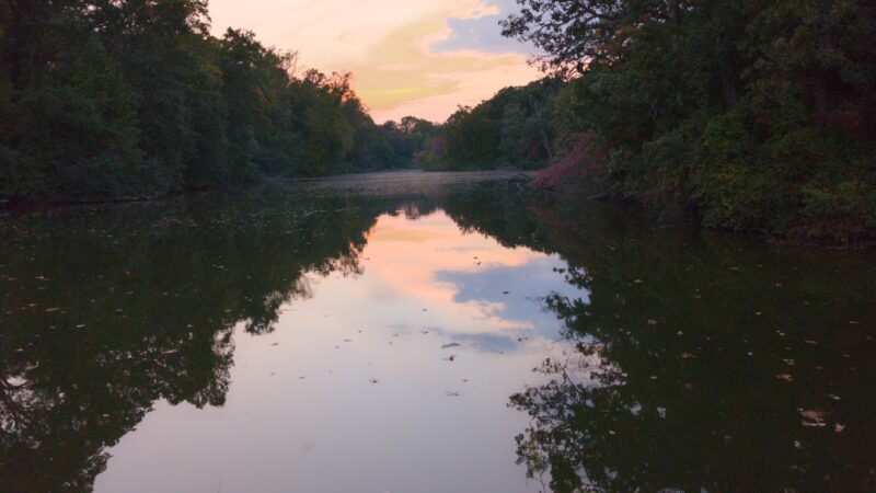 Bridgeton Dog Park - Bridgeton, NJ