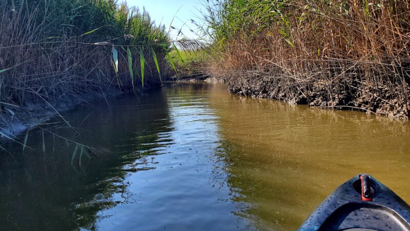Cohansey River Wildlife Management Area - Bridgeton, NJ