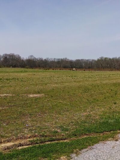 Cohansey River Wildlife Management Area - Bridgeton, NJ