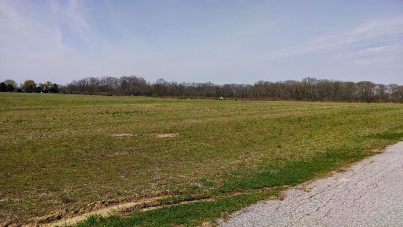Cohansey River Wildlife Management Area - Bridgeton, NJ