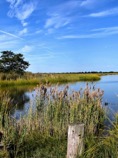 Cohansey River Wildlife Management Area - Bridgeton, NJ