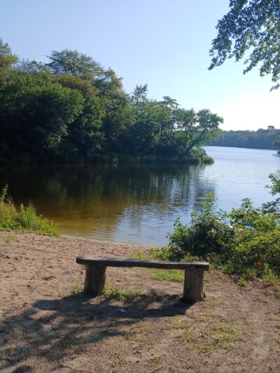 Shepherds Mill Pond Wildlife Management Area - Bridgeton, NJ