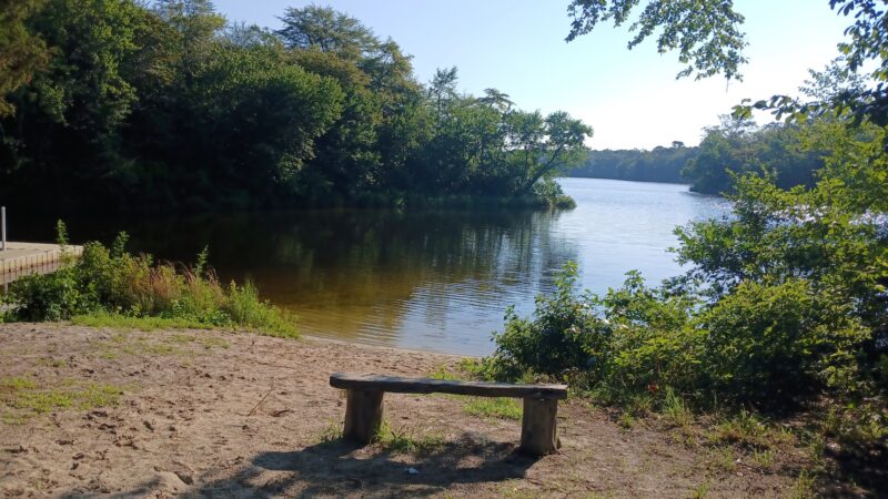 Shepherds Mill Pond Wildlife Management Area - Bridgeton, NJ