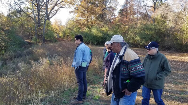 Shepherds Mill Pond Wildlife Management Area - Bridgeton, NJ