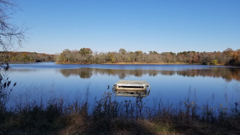Shepherds Mill Pond Wildlife Management Area - Bridgeton, NJ