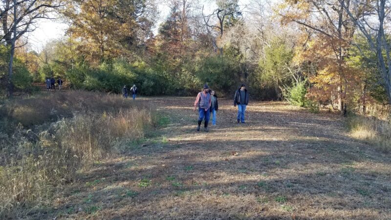 Shepherds Mill Pond Wildlife Management Area - Bridgeton, NJ