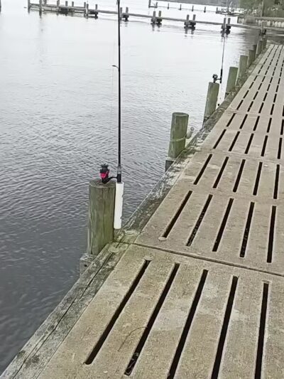 Town Of Bridgeton Park - Bridgeton, NC