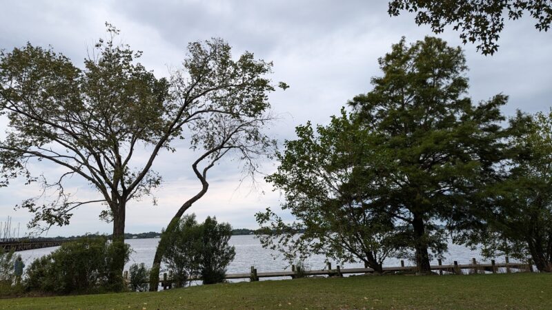 Town Of Bridgeton Park - Bridgeton, NC