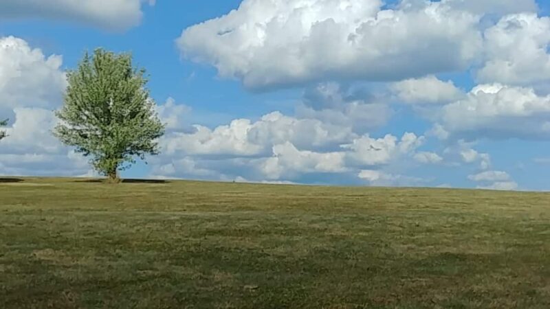Fairview Park - Bridgeville, PA