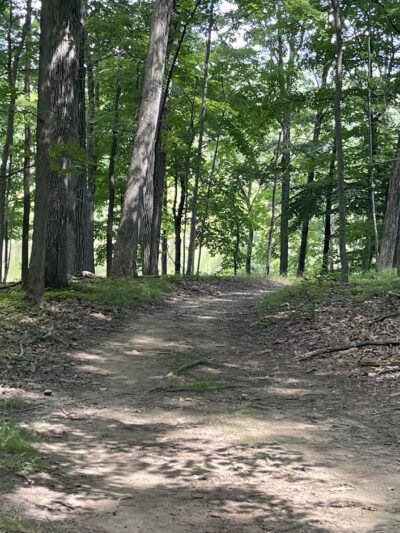 Washington Valley Park - Bridgewater, NJ