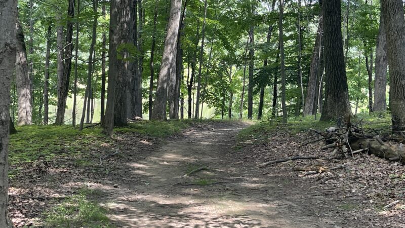 Washington Valley Park - Bridgewater, NJ