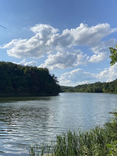 Washington Valley Park - Bridgewater, NJ