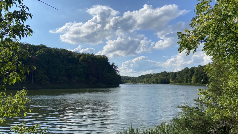 Washington Valley Park - Bridgewater, NJ