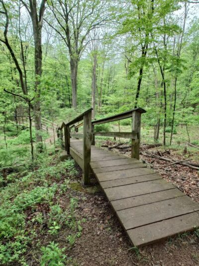 Washington Valley Park - Bridgewater, NJ