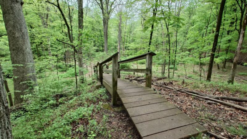 Washington Valley Park - Bridgewater, NJ