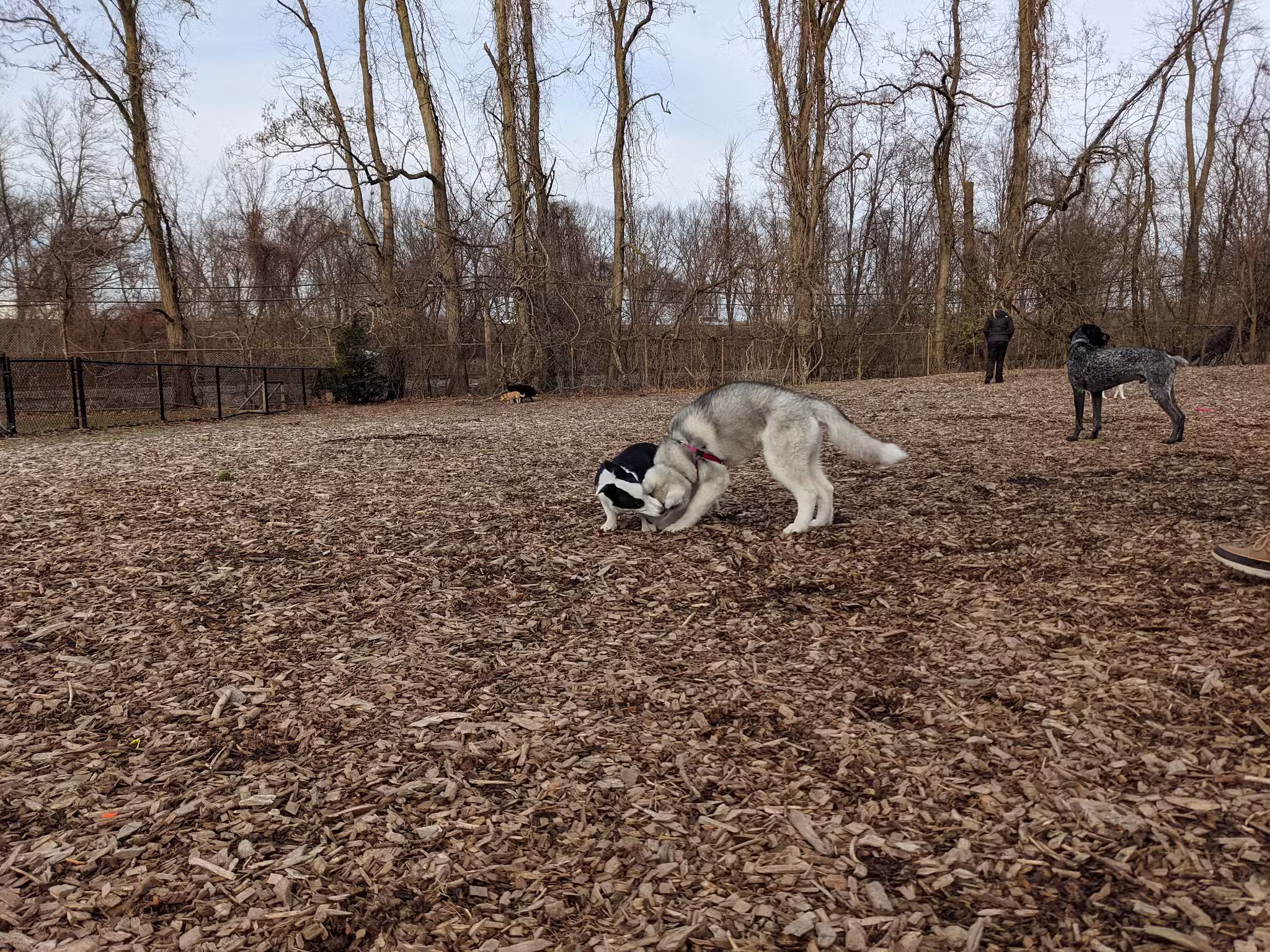 Hunnewell Playground - Brighton, MA
