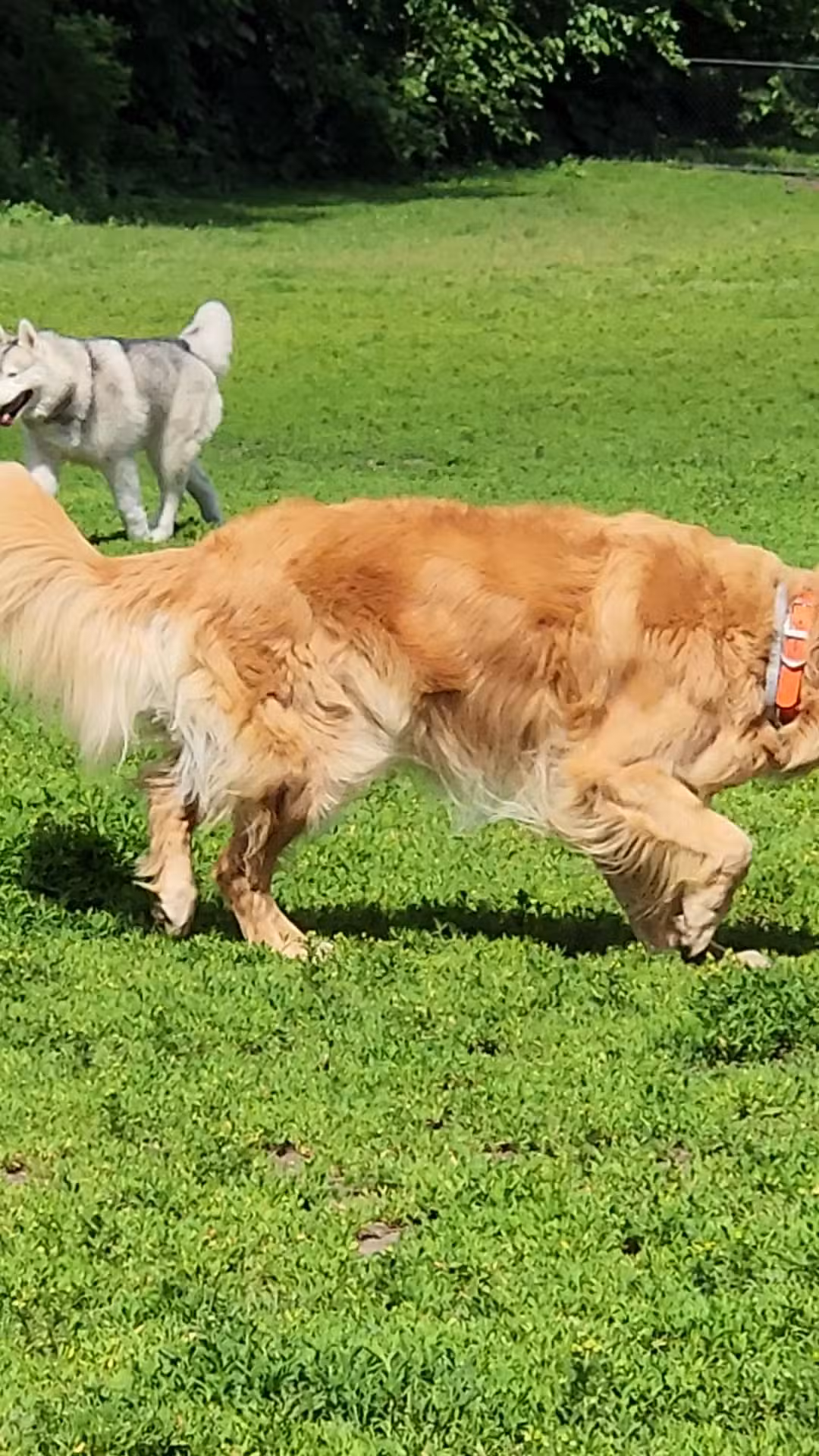 Hunnewell Playground - Brighton, MA