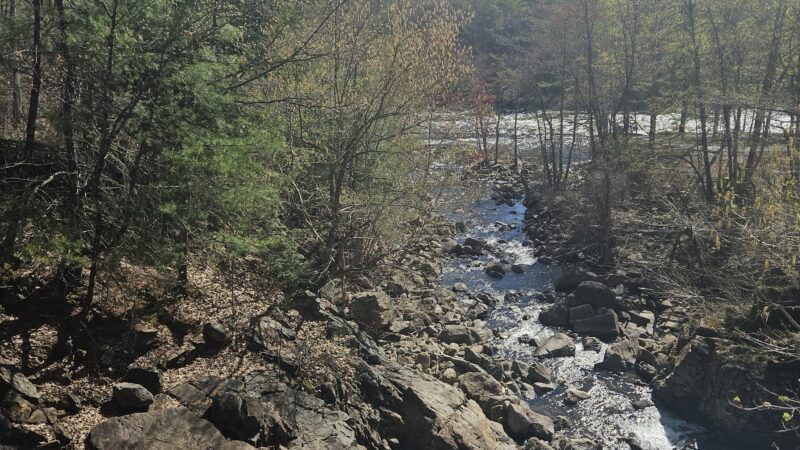 Pemi Trail - Bristol - Bristol, NH