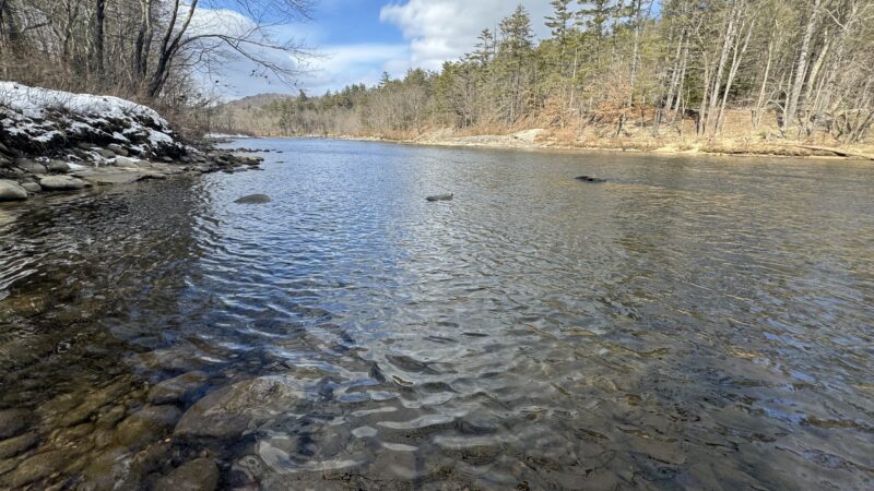 Pemi Trail - Bristol - Bristol, NH