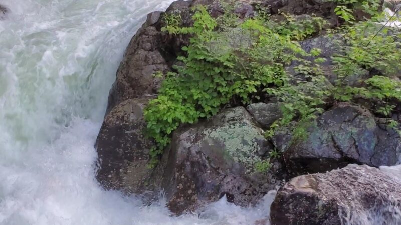 Pemi Trail - Bristol - Bristol, NH