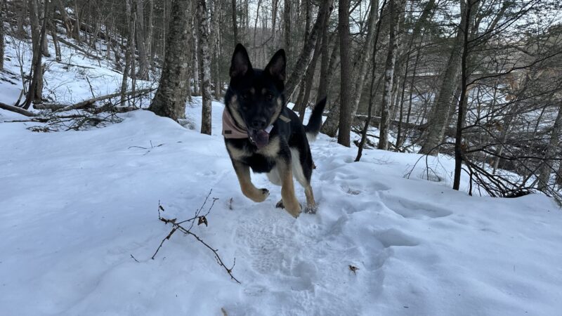 Pemi Trail - Bristol - Bristol, NH