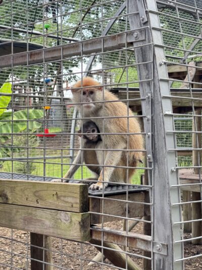 Broadway Zoological Park - Broadway, NC
