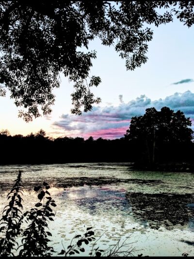 Brockton Park Dept - Brockton, MA