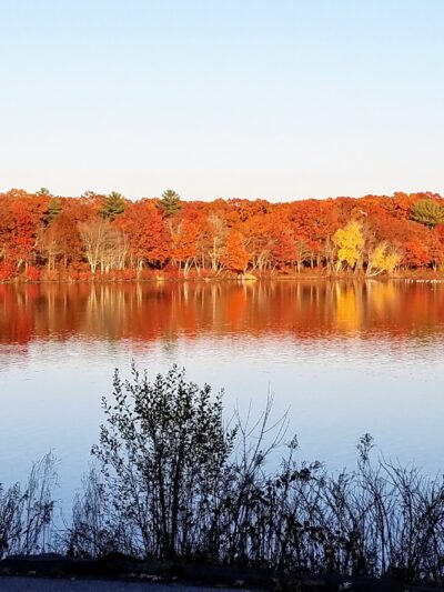 D.W. Field Park - Brockton, MA
