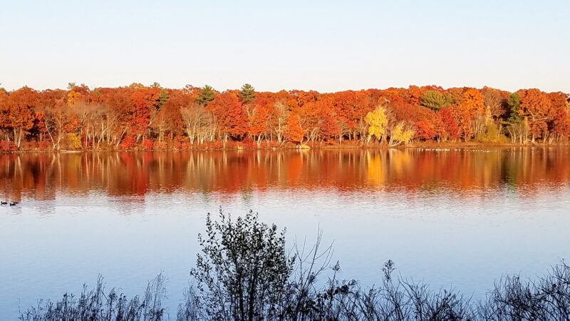 D.W. Field Park - Brockton, MA
