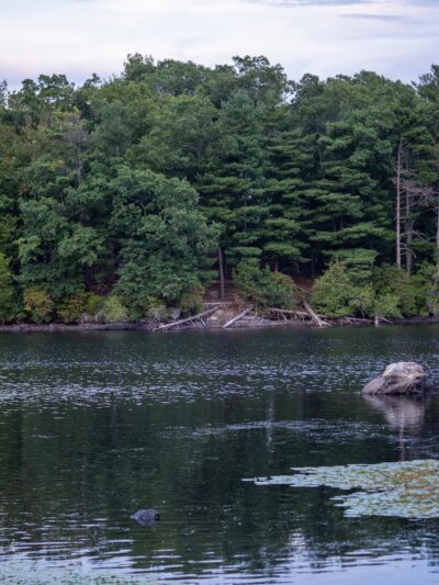 D.W. Field Park - Brockton, MA