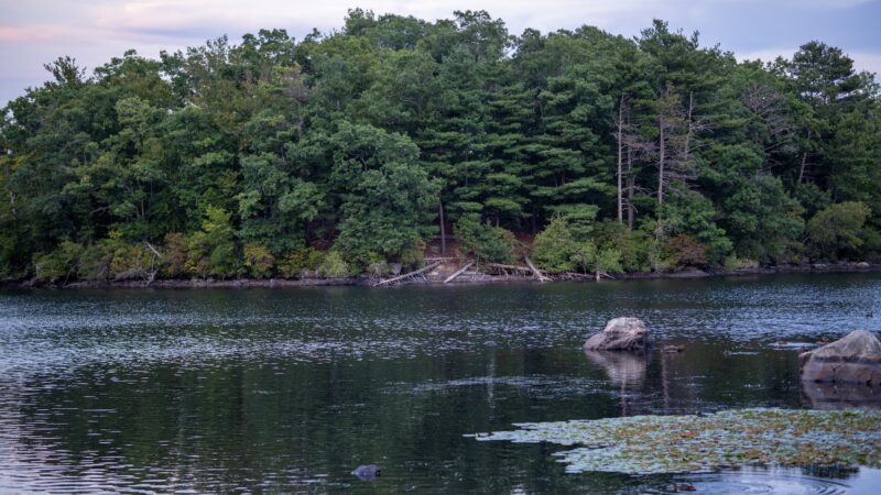 D.W. Field Park - Brockton, MA