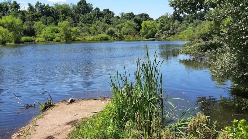 Silver Valley Natural Area - Brodheadsville, PA