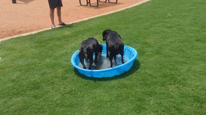 Rose West Dog Park - Broken Arrow, OK