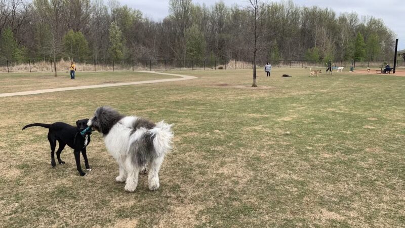 Rose West Dog Park - Broken Arrow, OK