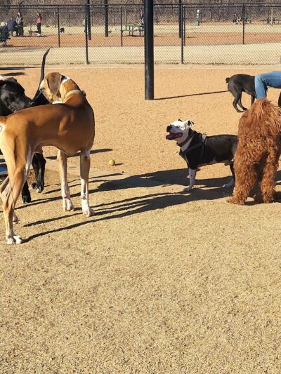Rose West Dog Park - Broken Arrow, OK