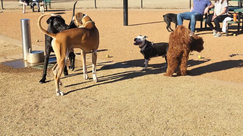 Rose West Dog Park - Broken Arrow, OK