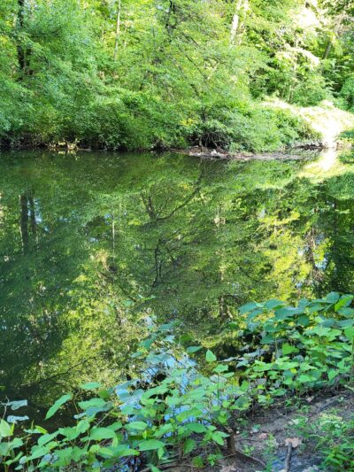 Bronx Park - Bronx, NY