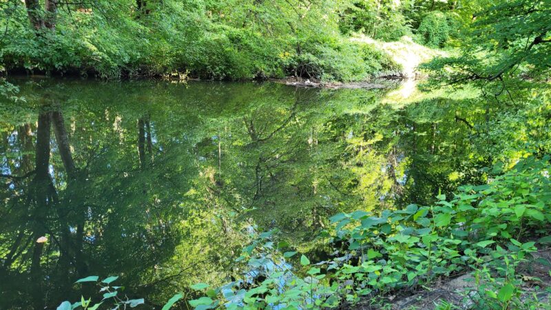 Bronx Park - Bronx, NY