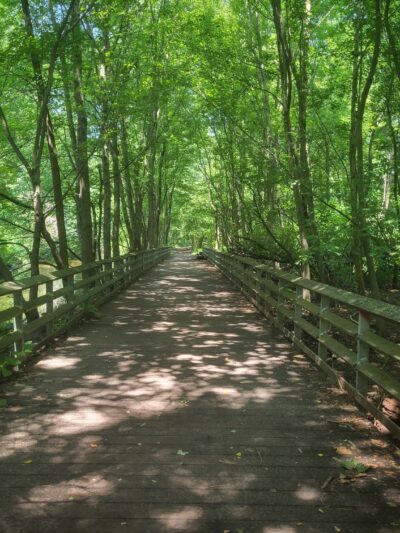 Bronx Park - Bronx, NY