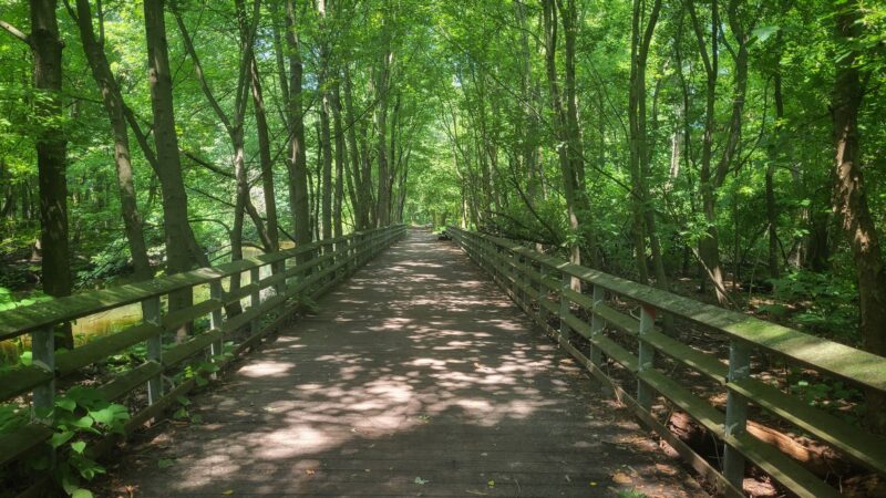 Bronx Park - Bronx, NY