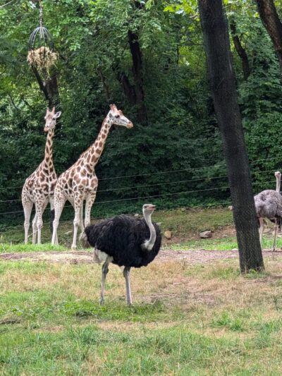 Bronx Park - Bronx, NY