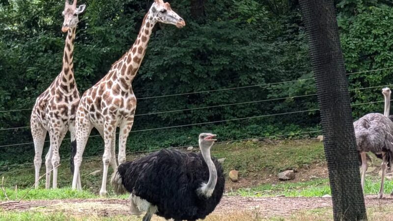 Bronx Park - Bronx, NY